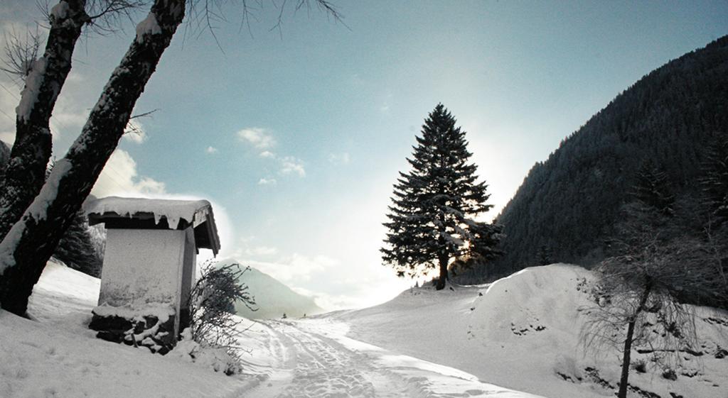 Apartments Haus Schoen - Preise Inclusive Pitztal Sommer Card Jerzens Buitenkant foto
