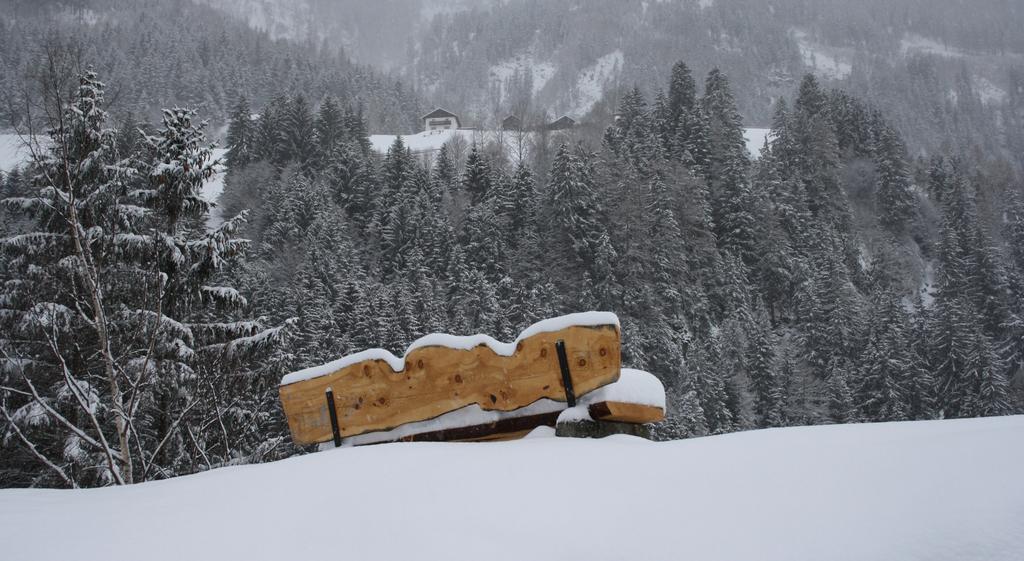 Apartments Haus Schoen - Preise Inclusive Pitztal Sommer Card Jerzens Buitenkant foto